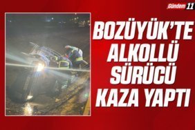 alkollü sürücü kaza yaptı