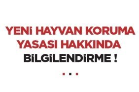 bozuyuk-haber-846975-sokak-hayvanlari-yasasi-yururluge-girdi-0.jpg