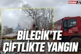 çiftlikte yangın