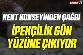 İPEKÇİLİK GÜN YÜZÜNE ÇIKIYOR