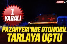 Pazaryeri'nde otomobil tarlaya uçtu