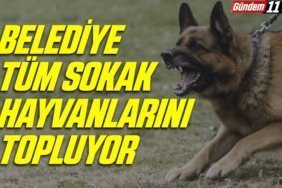 manşet2-Kurtarıldı