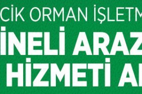 ORMAN