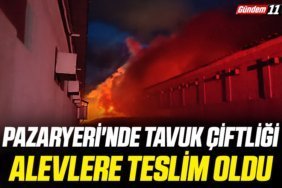 Pazaryeri'nde tavuk çiftliği alevlere teslim oldu