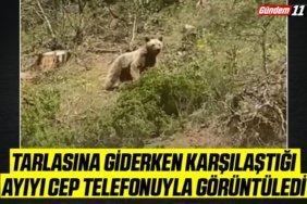 Tarlasına giderken karşılaştığı ayıyı cep telefonuyla görüntüledi