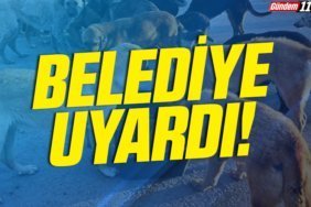 manşet2-Kurtarıldı
