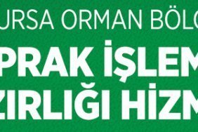 orman