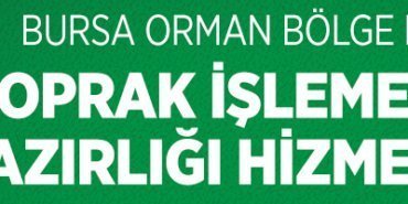 orman