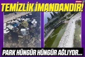 park ağlıyor