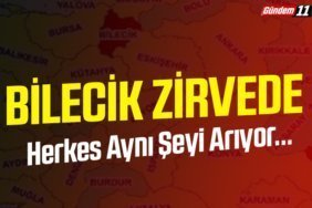 Herkes Aynı Şeyi Arıyor