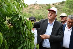 bozuyuk-haber-388182-tzob-genel-baskani-bayraktar-bilecik-te-zirai-dondan-etkilenen-kiraz-bahcelerini-inceledi-0.jpg