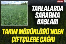 manşet2-Kurtarıldı