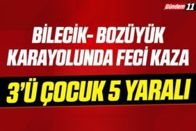Bilecik- Bozüyük Karayolunda feci kaza