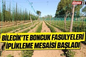 Bilecik'te boncuk fasulyeleri iplikleme mesaisi başladı