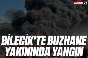 Bilecik'te buzhane yakınında yangın
