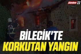 Bilecik'te korkutan yangın