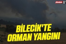 Bilecik'te orman yangını