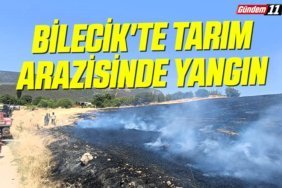 Bilecik'te tarım arazisinde yangın
