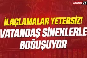 İlaçlamalar Yetersiz! Vatandaş sineklerle boğuşuyor