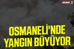 Osmanelİ'de