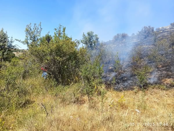 featured