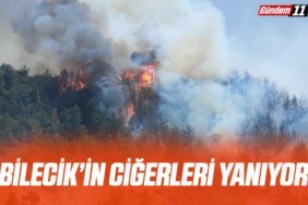 Bilecik'in Gölpazarı ilçesinde çıkan orman yangınına havadan ve karadan müdahale ediliyor