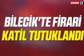 Bilecik'te Firari katil tutuklandı