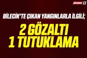 Bilecik'te çıkan yangınlarla ilgili