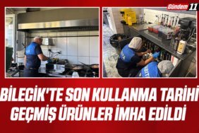 Bilecik'te son kullanma tarihi geçmiş ürünler imha edildi