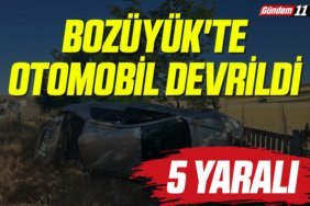 Bozüyük'te otomobil devrildi 5 yaralı