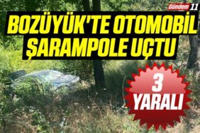 Bozüyük'te otomobil şarampole Uçtu 3 yaralı