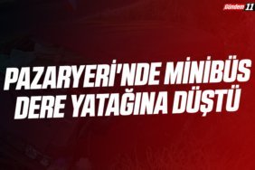 Pazaryeri'nde minibüs dere yatağına düştü