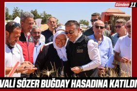 Vali Sözer buğday hasadına katıldı