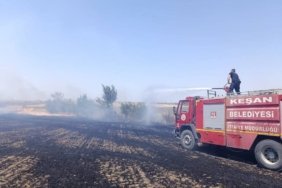 bozuyuk-haber-643546-edirne-de-cikan-aniz-yangini-sonduruldu-0.jpg
