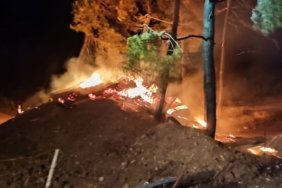 bozuyuk-haber-981148-bilecik-te-yanginda-kucukbas-hayvanlarini-kaybeden-girisimcinin-irk-calismalari-da-kul-oldu-0.jpg