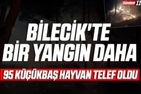 manşet2-Kurtarıldı