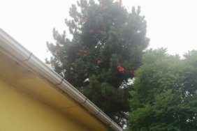 IMG_20250801_130723