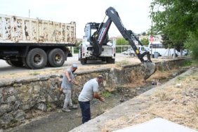 Kanal Temizliği Stad Yanı (01.08.2025) 1