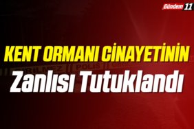 Kent Ormanı Cinayetinin Zanlısı Tutuklandı