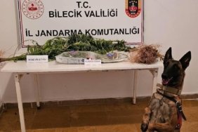 bozuyuk-haber-652965-bilecik-te-uyusturucu-operasyonu-2-supheli-yakalandi-0.jpg