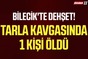 BİLECİKTE DEHŞET