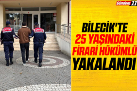 Bilecik'te 25 yaşındaki firari hükümlü yakalandı