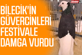 Bilecik'in güvercinleri festivale damga vurdu