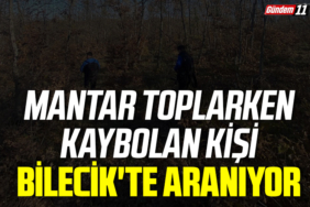 Mantar toplarken kaybolan kişi Bilecik'te aranıyor