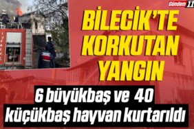 manşet2-Kurtarıldı
