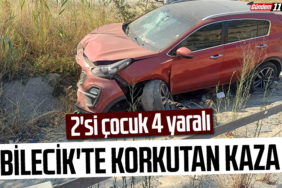 2'si çocuk 4 yaralı
