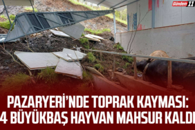 4 Büyükbaş Hayvan Mahsur Kaldı