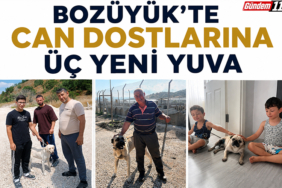 Başlıksız-1