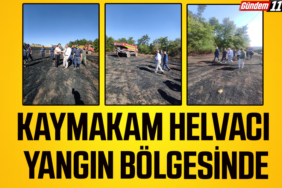 Başlıksız-1