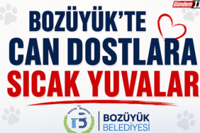 Başlıksız-1